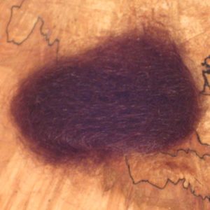 Angora Goat